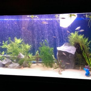 fts new.jpg