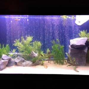 tank new 3.jpg