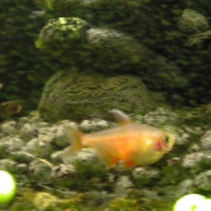DSCN3751.JPG