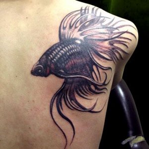 Fish-Tattoo-Designs-and-Fish-Tattoo-Meaning-2.jpg