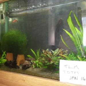 20140121_141556.jpg