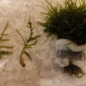20140207_221515.jpg