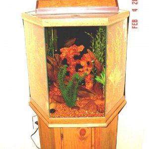 Tank_005.jpg