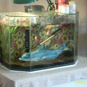 tank1.JPG