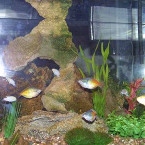 FW_FullView_Straiton2.jpg