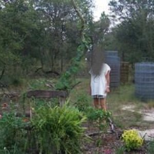 GinsMyGarden2.jpg