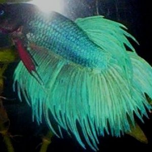 100_0701.JPG