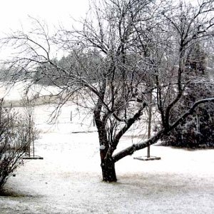 snow5.jpg