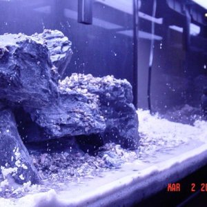 Rocks_Setup_018.jpg