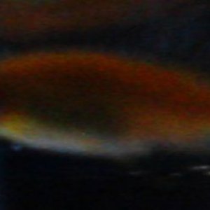 fish3.jpg
