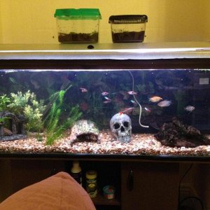 full tank shot.jpg