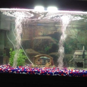photo (2).JPG