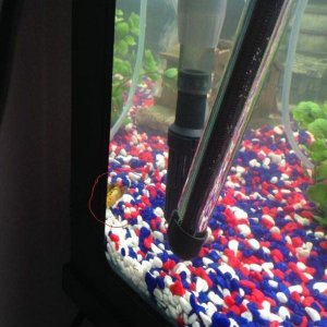 photo 2 (2).JPG