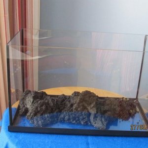 10 gallon biotope set-up 1.jpg