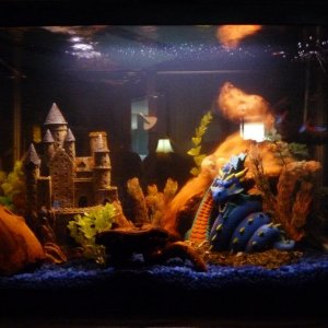 fishtank.jpg