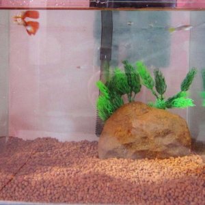 tank1.jpg