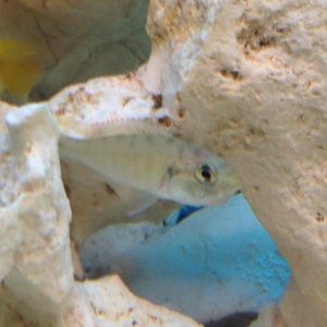 IMG_0679.jpg