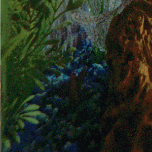 IMG_20140514_212205.gif