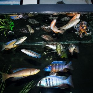 feeding time.jpg