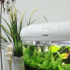 CAM00892-1-1.jpg