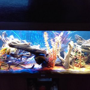 IMAG0098.jpg