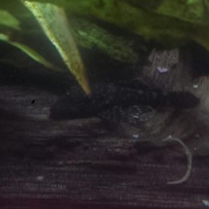 2014080823062500.jpg