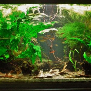 33g Aug 25-14.JPG