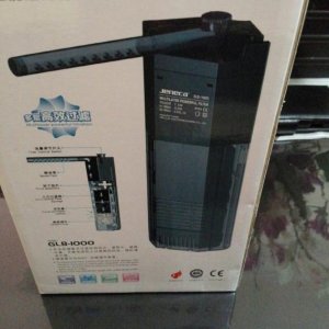 CAM01231-1.jpg