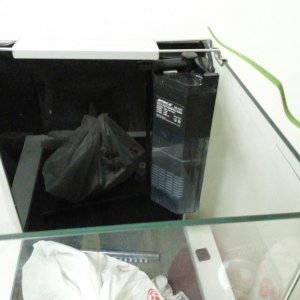 CAM01237-1.jpg