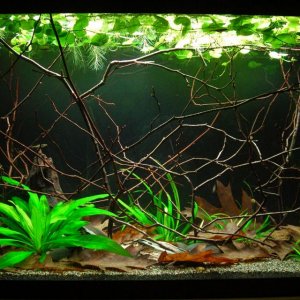 29g Sep 22-14.JPG