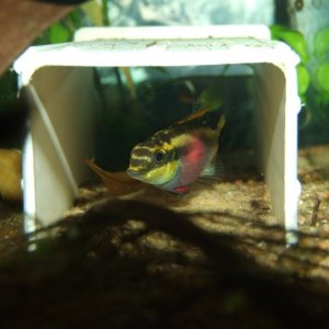 DSCF8887.JPG