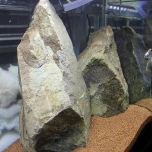 IMG_2822.JPG