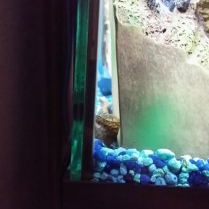 20141101_101342.jpg