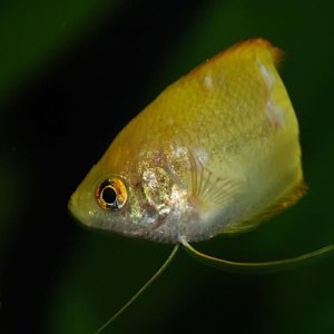 DSC_6290.JPG
