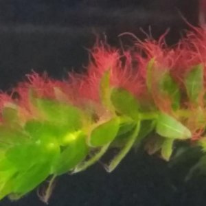 20140511_101028_029.jpg
