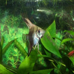 DSCF9053.JPG