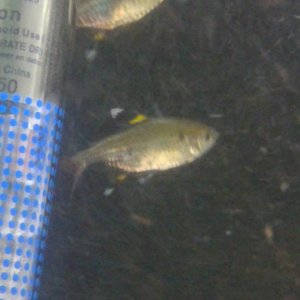 20150218_173503.jpg