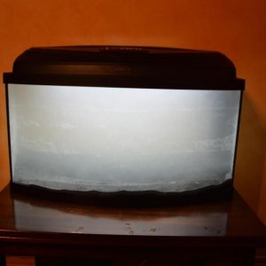 tank7.jpg