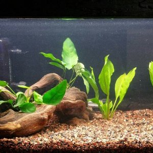 Nano-Cycling1.jpg