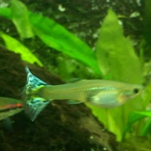 IMAG0032_1.jpg