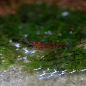 DSC_0107.jpg