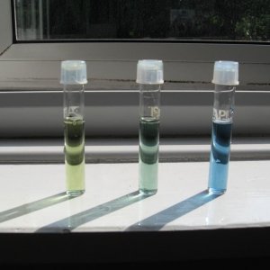 ph end of experiment.JPG