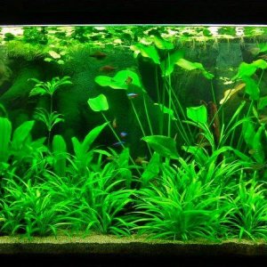 115g Feb 24-12.JPG
