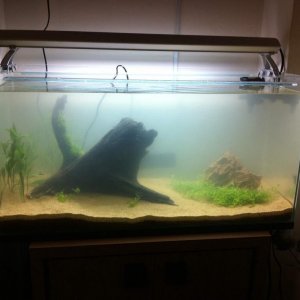 nearly complete tank.jpg