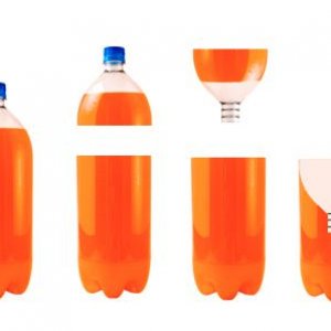 snail bottle trap.jpg