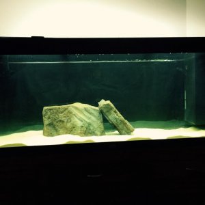 Tank lights.jpg