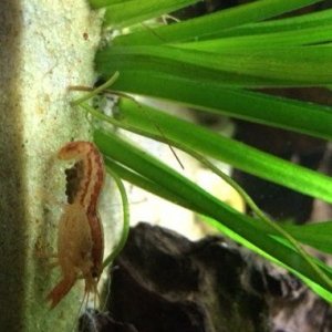 IMG_3111.JPG