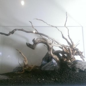 hardscape.jpg