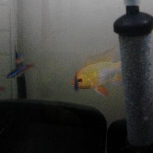 IMG20150905202526.jpg