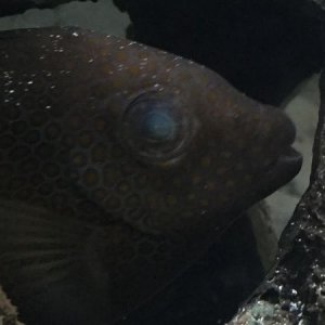 Optimized-IMG_0545.JPG